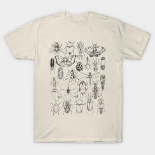 Insects T-Shirt